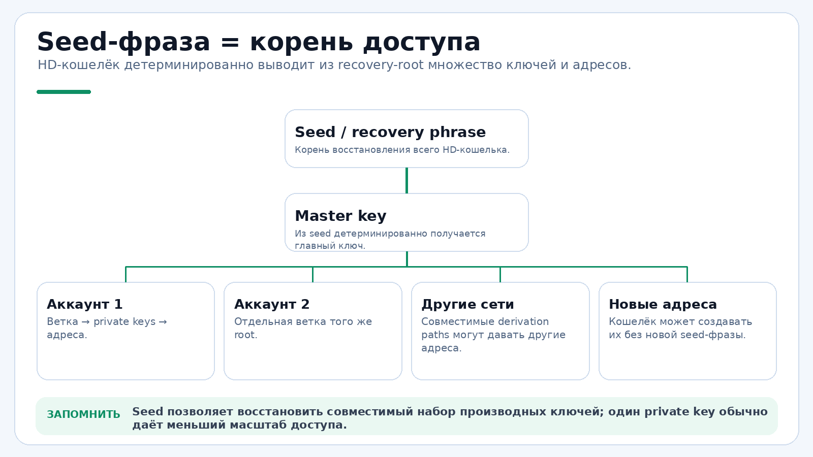 Seed-фраза восстанавливает дерево ключей, а не один адрес